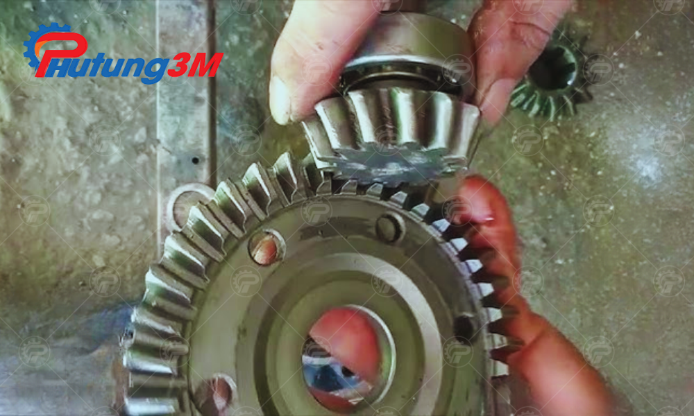 Bánh răng quả dứa tại Phụ tùng 3 miền